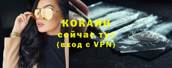 ГАЛЛЮЦИНОГЕННЫЕ ГРИБЫ Горняк