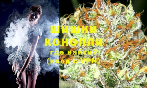 ГАЛЛЮЦИНОГЕННЫЕ ГРИБЫ Горняк