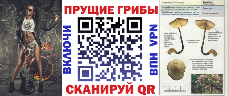 kraken зеркало  Мещовск  Псилоцибиновые грибы ЛСД 